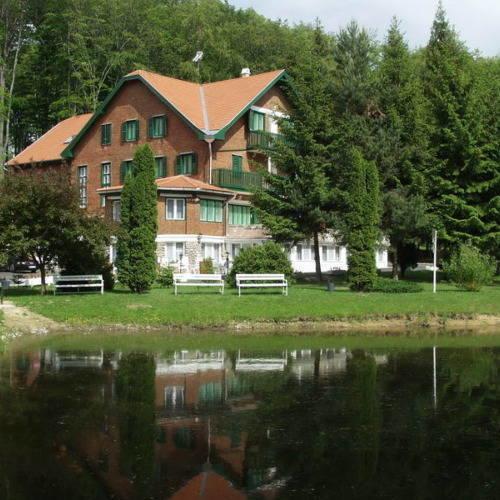 Bed and Breakfast Sebesvi­z Panzió Repashuta Exterior foto