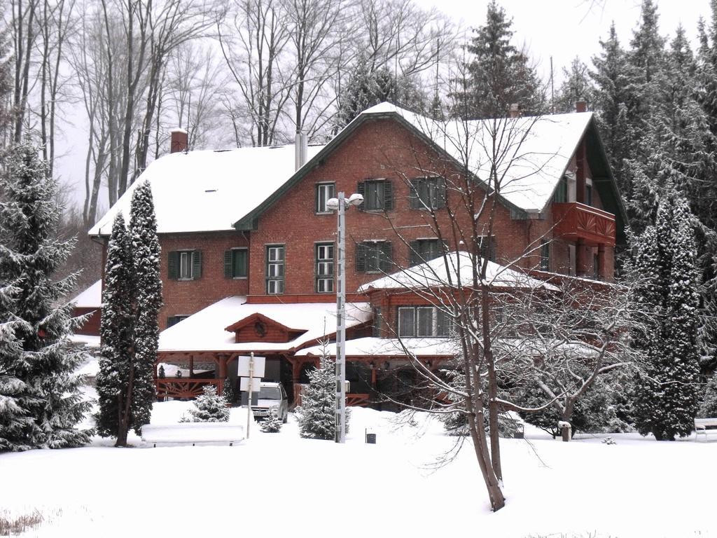 Bed and Breakfast Sebesvi­z Panzió Repashuta Exterior foto