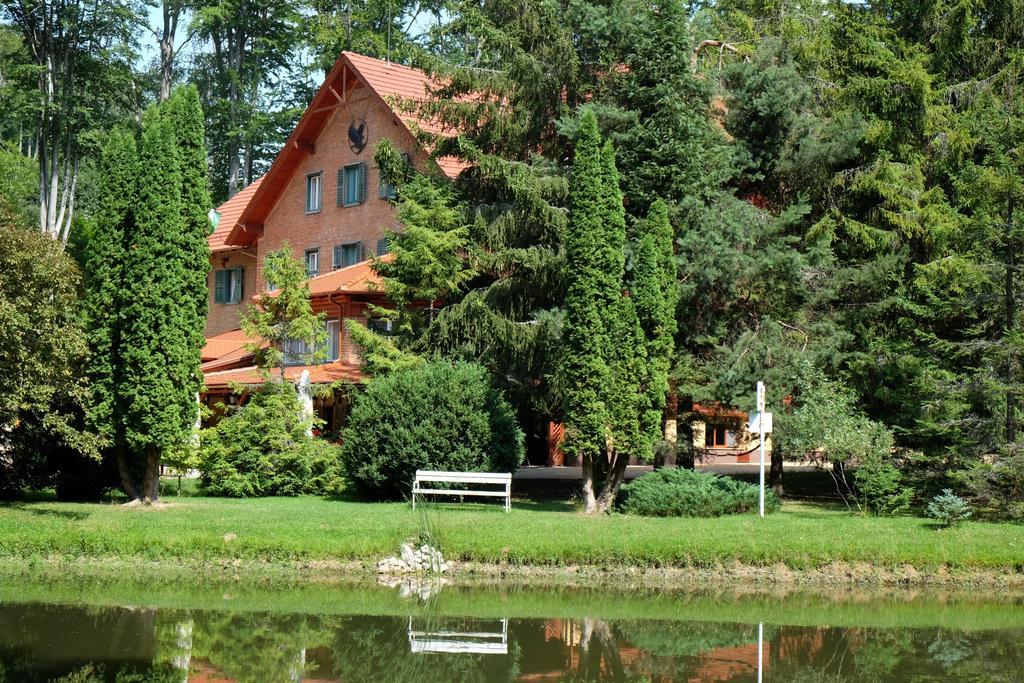 Bed and Breakfast Sebesvi­z Panzió Repashuta Exterior foto